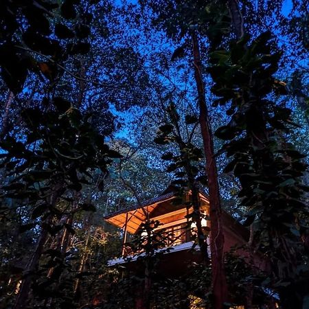 Coffee Acres Resort Kalpatta Dış mekan fotoğraf