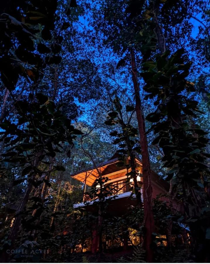 Coffee Acres Resort Kalpatta Dış mekan fotoğraf