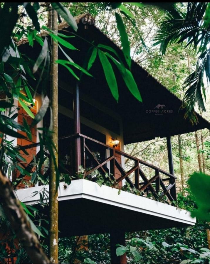 Coffee Acres Resort Kalpatta Dış mekan fotoğraf