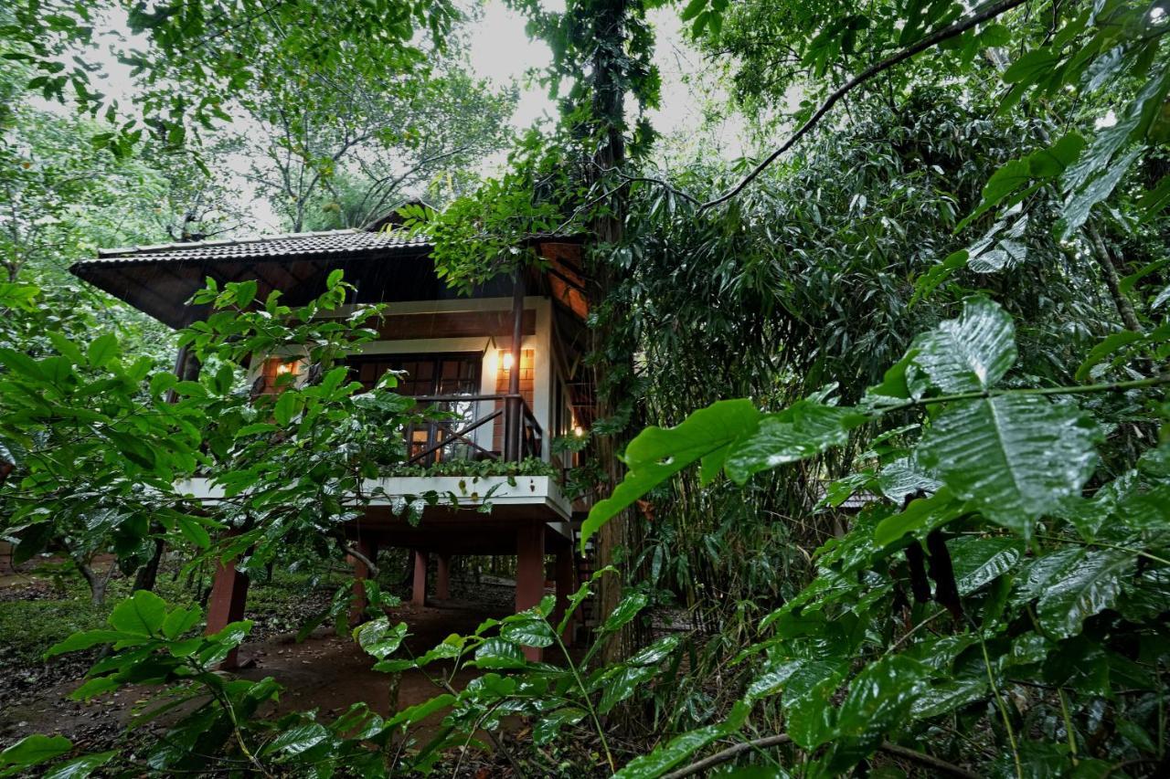 Coffee Acres Resort Kalpatta Dış mekan fotoğraf