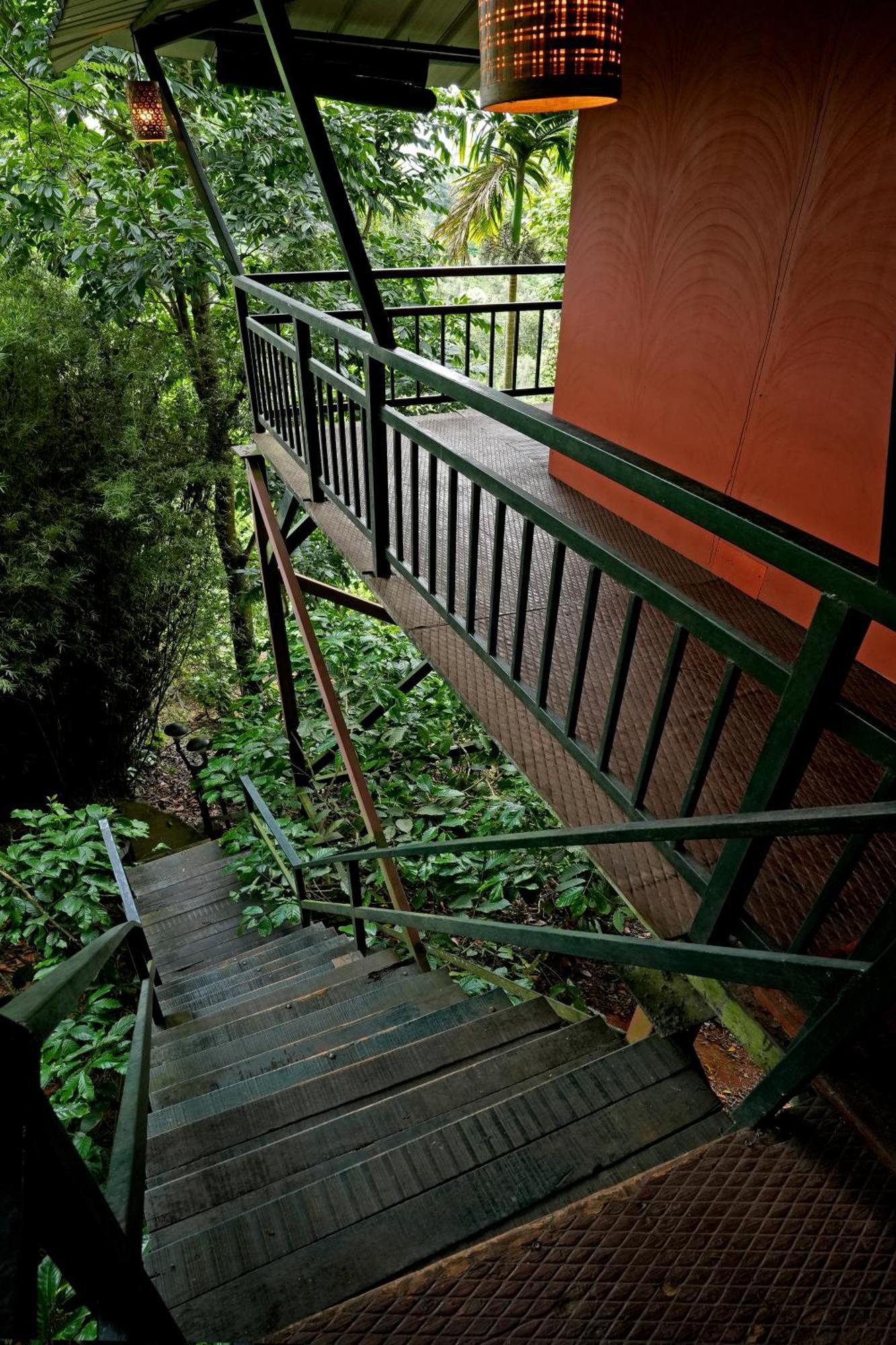 Coffee Acres Resort Kalpatta Dış mekan fotoğraf