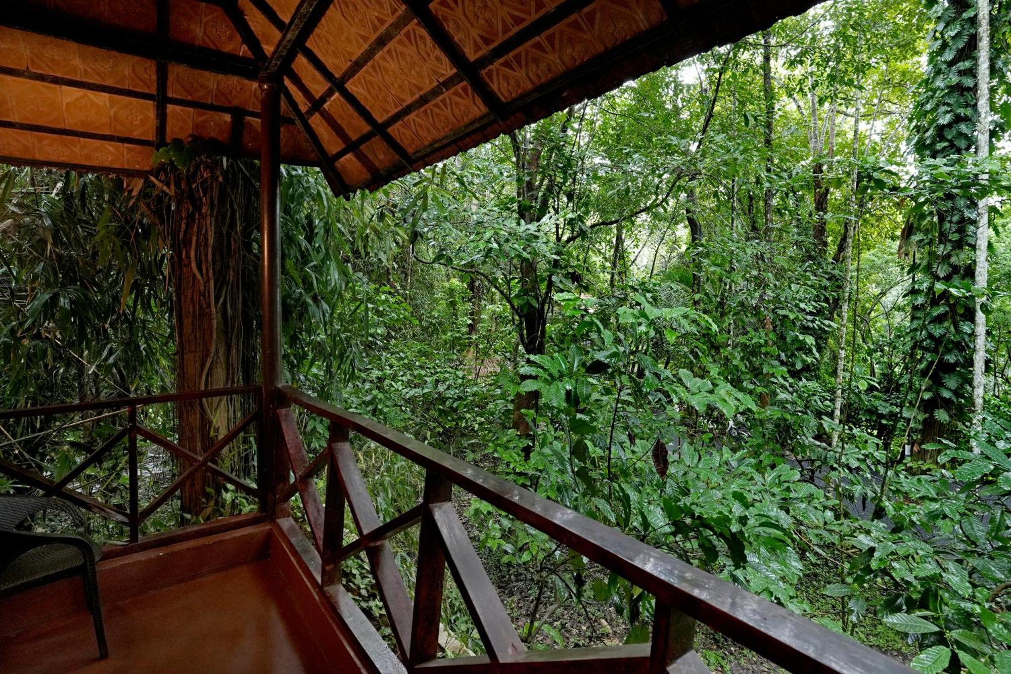 Coffee Acres Resort Kalpatta Dış mekan fotoğraf